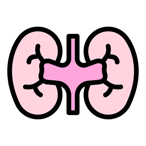 Urinary kidney icon color outline vector — Stock Vector