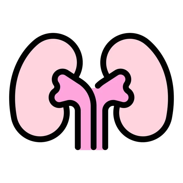 Órgano riñón icono color contorno vector — Archivo Imágenes Vectoriales