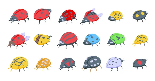 A rovar katicabogár ikonok izometrikus vektort állítottak be. Gyermeklégy — Stock Vector