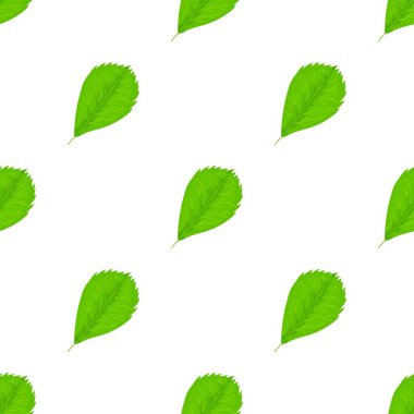 Karaağaç yaprağı deseni pürüzsüz vektör