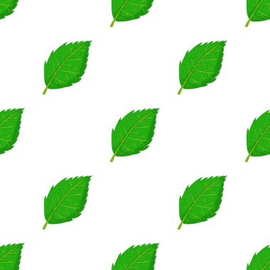 Huş ağacı yaprak model sorunsuz vektör