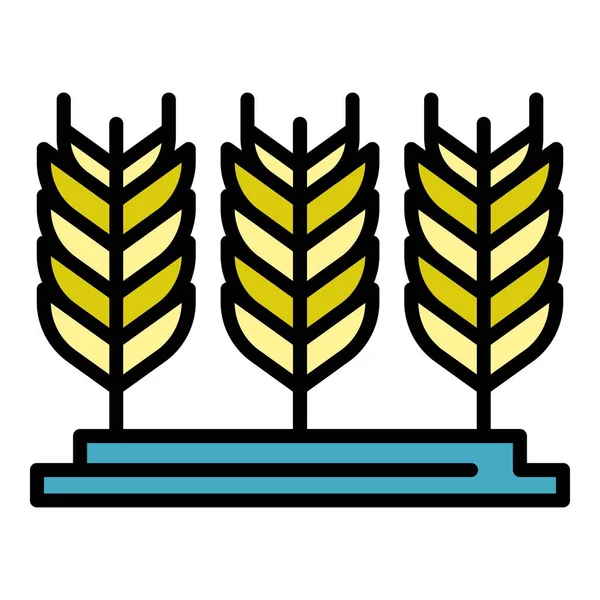 Gospodarstwo pszenica plantacja ikona kolor zarys wektor — Wektor stockowy