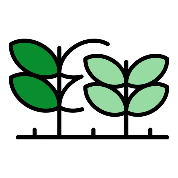 Eco plants icon color outline vector — Stock Vector