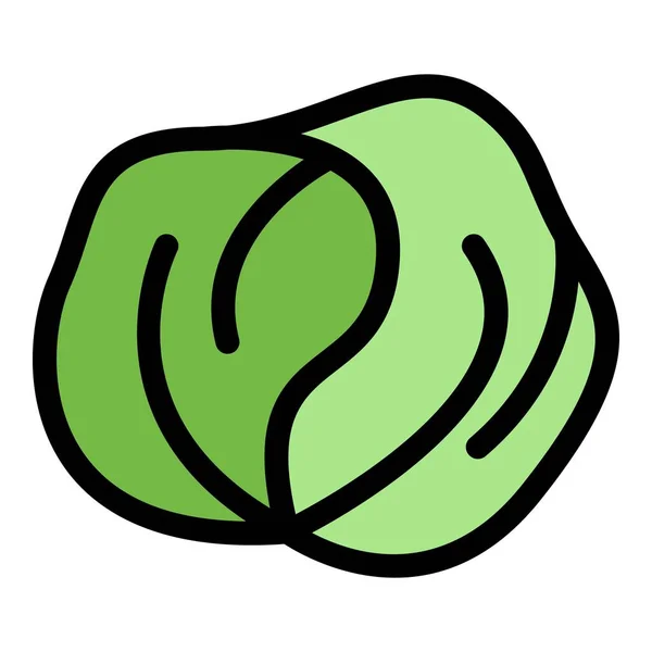 Garden cabbage icon color outline vector — Stock Vector