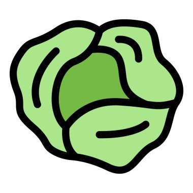 Çiğ lahana simgesi renk ana hatları vektörü