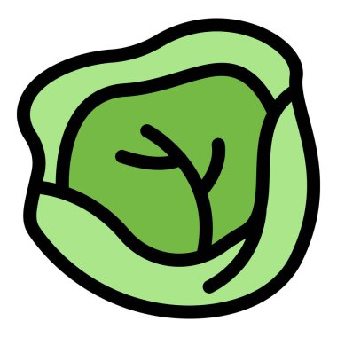 Lahana bitkisi simgesi renk ana hatları vektörü