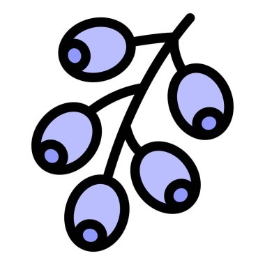 Arome sos dalı simgesi renk ana hatları vektörü