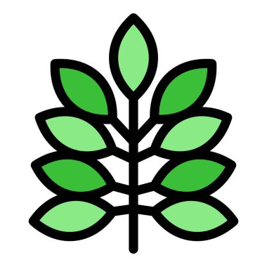 Oregano simgesi renk ana hatları vektörü