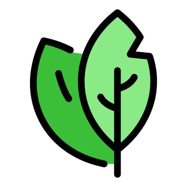 Körfez yaprağı simgesi renk ana hatları vektörü