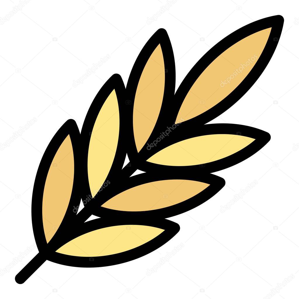 Spices leaf branch icon. Outline spices leaf branch vector icon color flat isolated