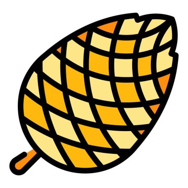 Olgunlaşmamış çam kozalağı rengi ana hatları vektörü