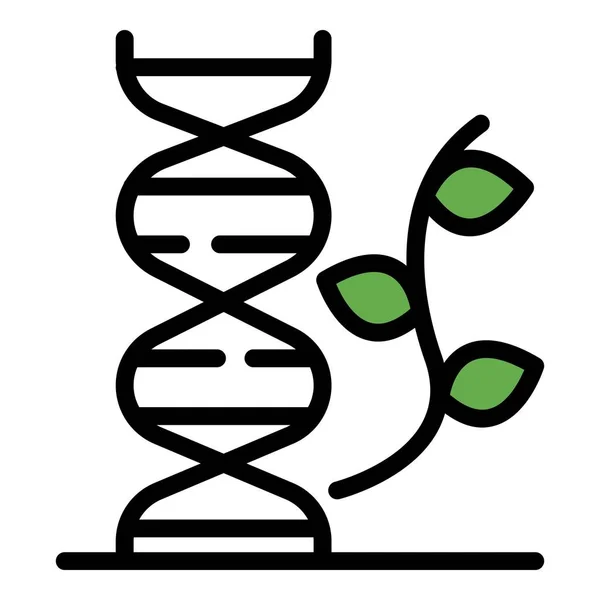 Цветовой вектор контура цепочки ДНК и веревки — стоковый вектор