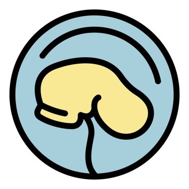 Bebek embriyo simgesi renk ana hatları vektörü