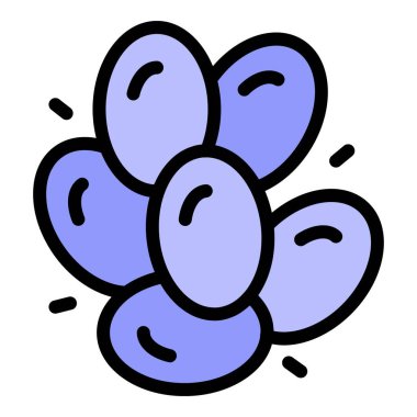 Ceviz simgesi rengi dış hat vektörü