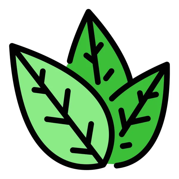 Icono de hoja de té color contorno vector — Vector de stock