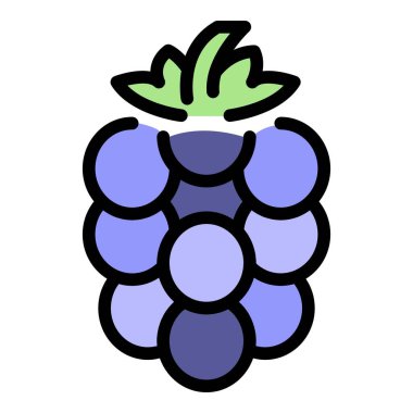 Böğürtlen simgesi renk çizgisi vektörü