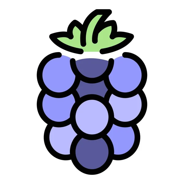 Dessert blackberry icon color outline vector — Stock Vector