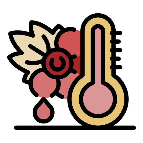 Raisins et thermomètre icône couleur contour vecteur — Image vectorielle