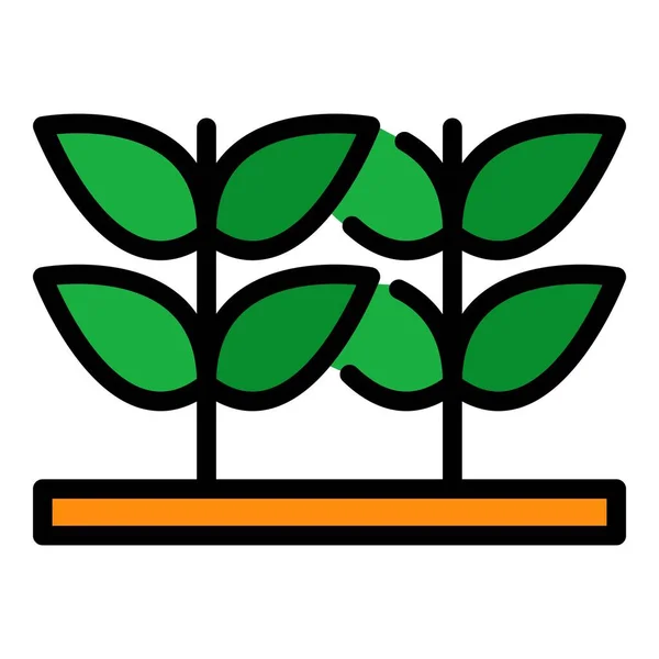 Zvětšit vektor barev ikon rostlin — Stockový vektor