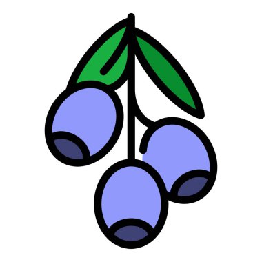 Yunan siyah zeytin simgesi renk ana hatları vektörü