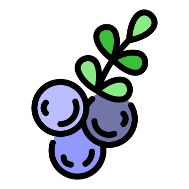 Sonbahar rowan simgesi renk ana hatları vektörü