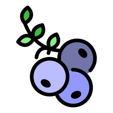 Rowan böğürtlen ikonu renk ana hatları vektörü