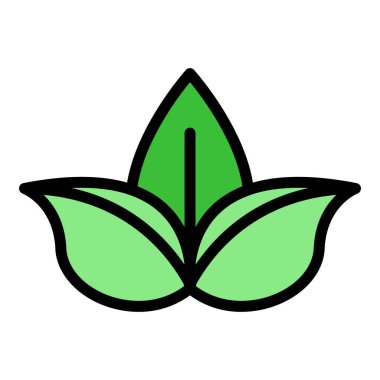 Basil yaprağı simgesi renk ana hatları vektörü