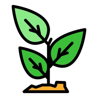 Fesleğen aroma rengi ana hatları vektörü