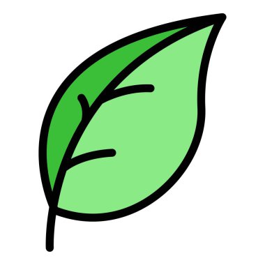 Fesleğen yaprağı çiftlik simgesi renk ana hatları vektörü