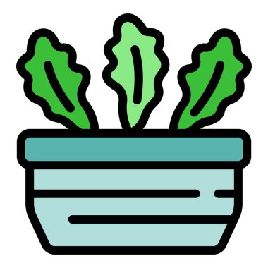 Arugula simgesi renk ana hatları vektörü