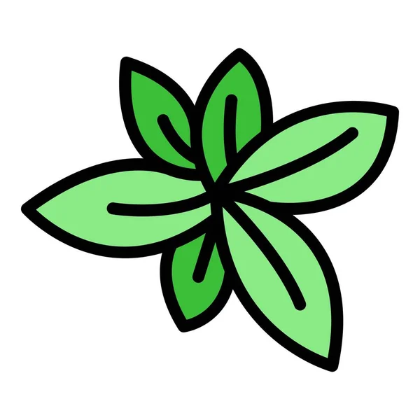 Albahaca planta icono color contorno vector — Archivo Imágenes Vectoriales