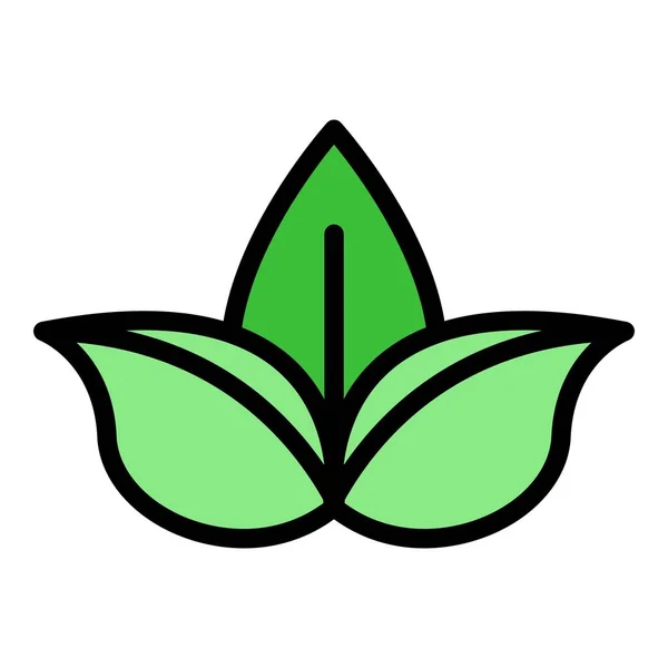 Basil yaprağı simgesi renk ana hatları vektörü — Stok Vektör