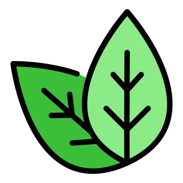 Albahaca planta hoja icono color contorno vector — Vector de stock