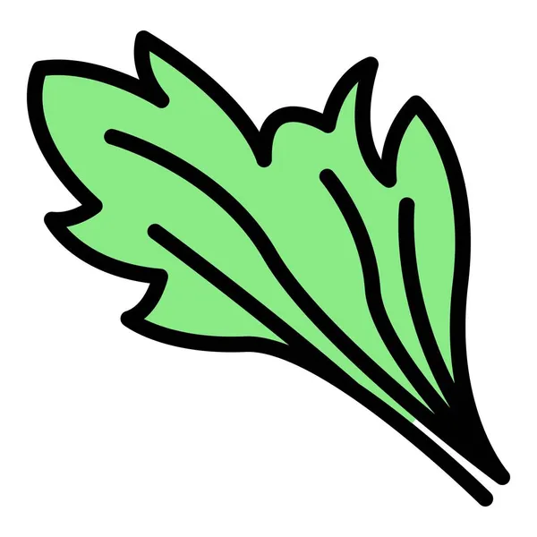 Petersilie Flora Symbol Farbe Umrissvektor — Stockvektor