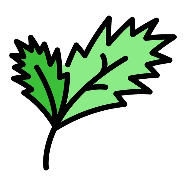 Perejil planta icono color contorno vector — Vector de stock