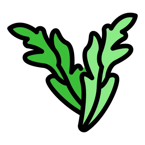 Pflanze Rucola Symbol Farbe Umrissvektor — Stockvektor