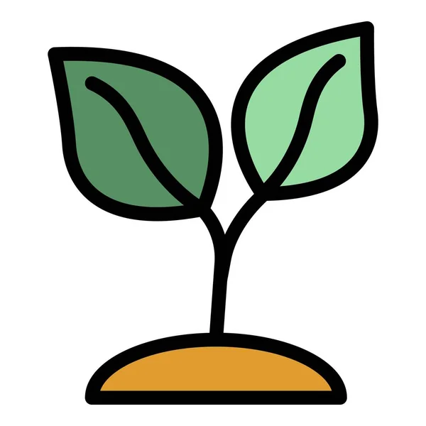 Teepflanze Symbol Farbe Umrissvektor — Stockvektor