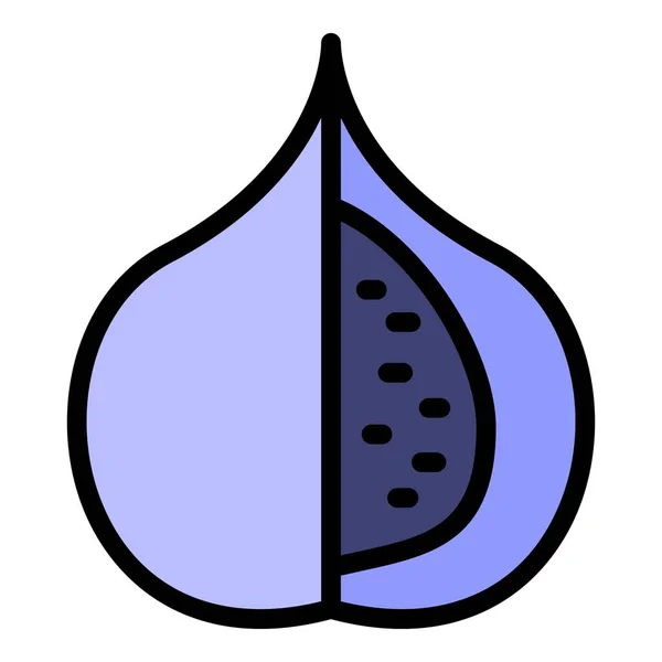Summer fig icon color outline vector — стоковый вектор