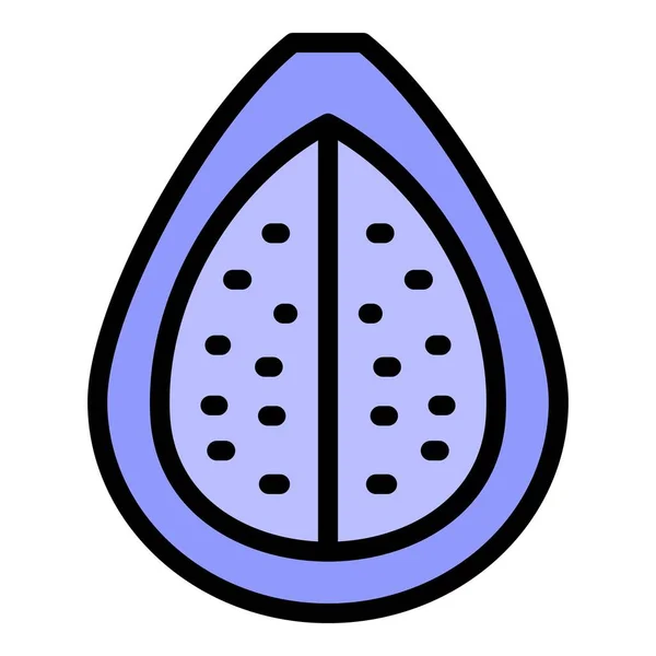 Tropical fig icon color outline vector — 图库矢量图片
