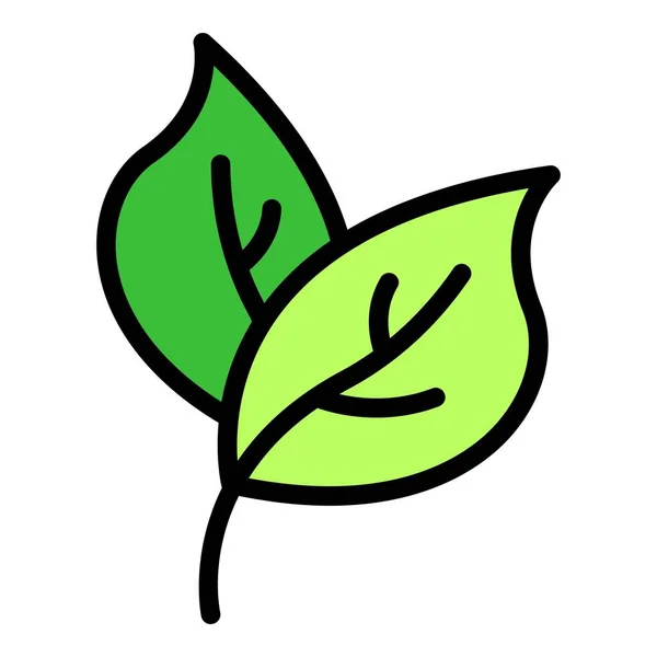 Vektor barvy osnovy ikon rostlinných listů — Stockový vektor