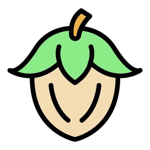 Cosmetic jojoba nut icon color outline vector — 图库矢量图片