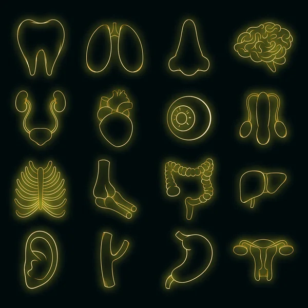 Innere Organe Icon Set Vektor Neon — Stockvektor