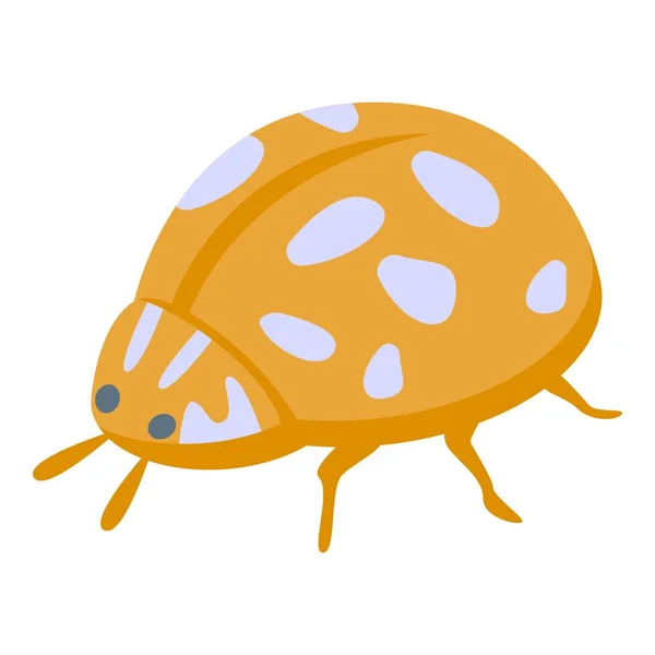 오렌지 ladybug 아이콘 isometric vector. 귀여운 무당벌레 — 스톡 벡터