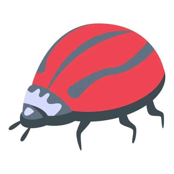 Icono de mariquita rayada roja vector isométrico. Lindo insecto — Archivo Imágenes Vectoriales