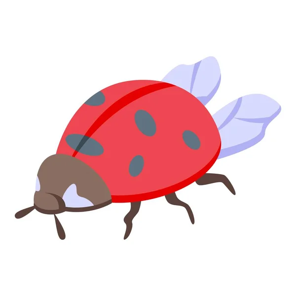 Niño mariquita icono vector isométrico. Lindo insecto — Vector de stock