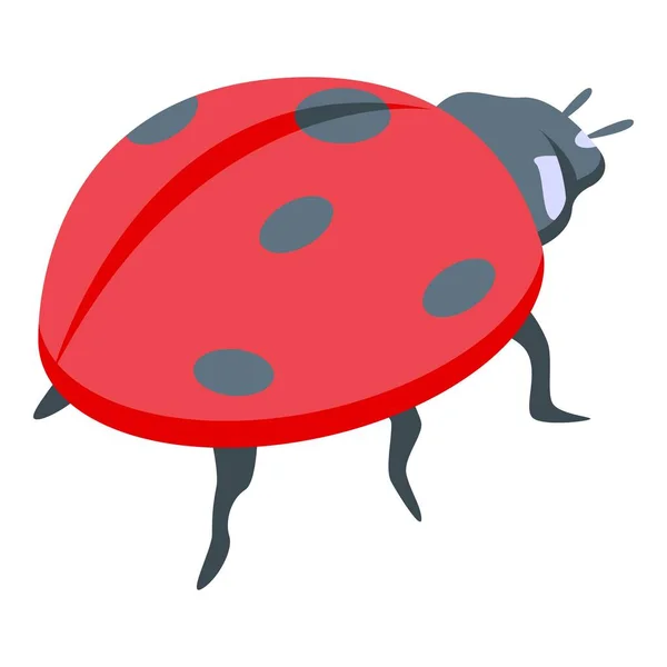 Summer ladybug icon isometric vector. Cute bug — Stock Vector