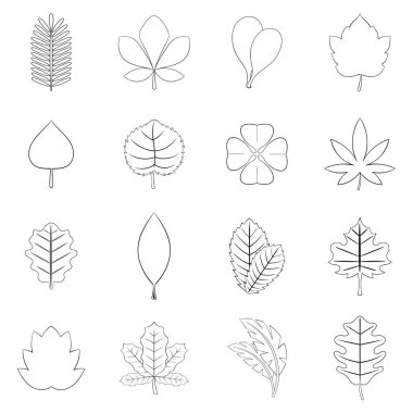 Farklı yaprak simgesi dizisi ana hatları