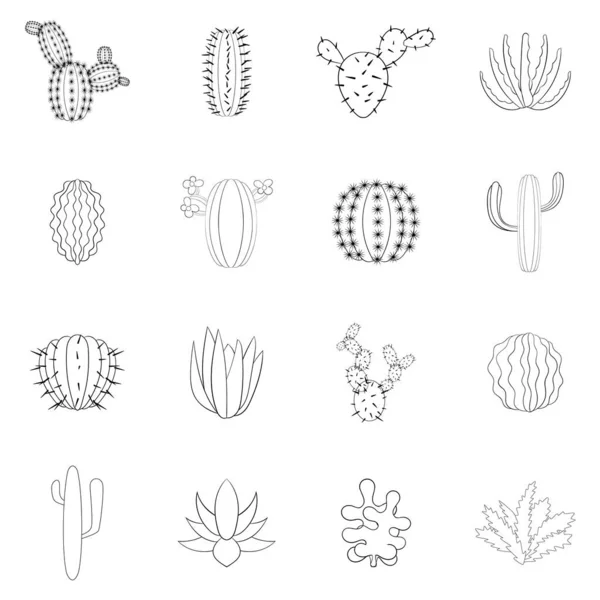 Cactus verts icône ensemble contour — Image vectorielle