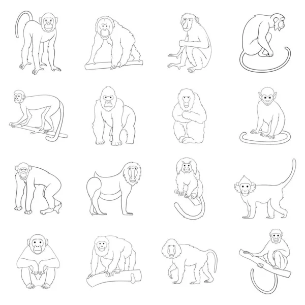 Obrysy ikon různých opic — Stockový vektor