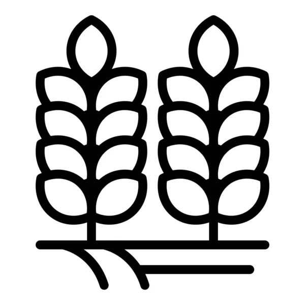 Вектор контуров иконок пшеницы. Хмелеводство — стоковый вектор